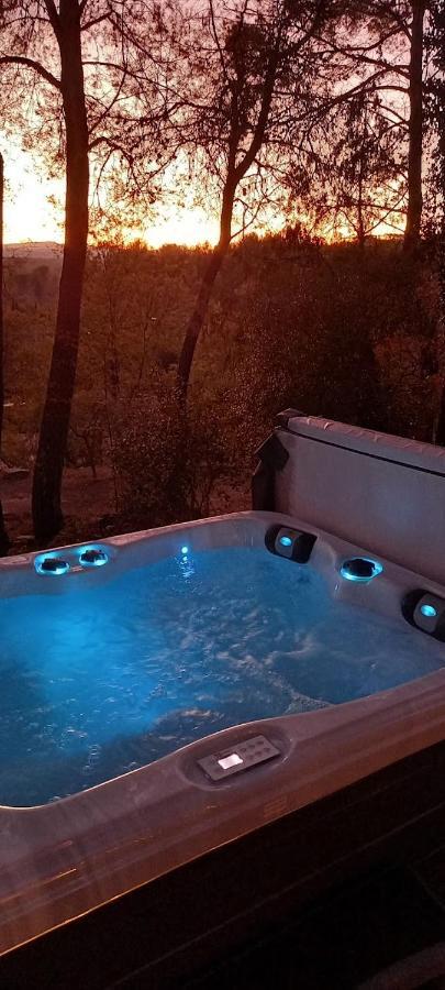 Gite Avec Spa Jacuzzi Au Coeur De Provence Cote D'Azur Saint-Antonin-du-Var Luaran gambar